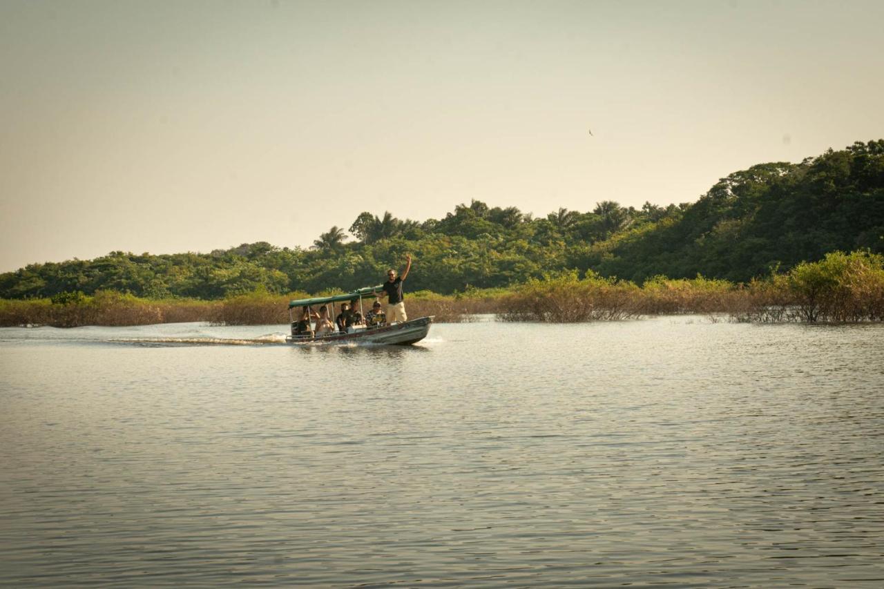 ホテル Amazonia Exxperience マナウス エクステリア 写真